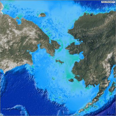 20100202213953-facerelief.gif